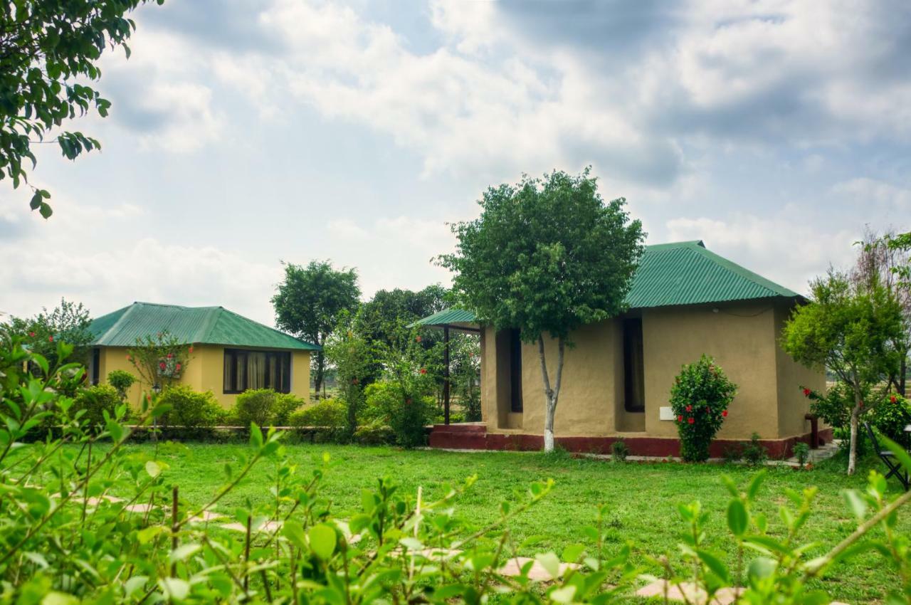 Tusk And Roar Corbett Resort Dhela Exterior foto